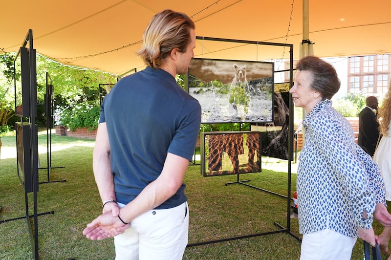 The Princess Royal views an exhibition by former England cricketer Nick Compton (left)