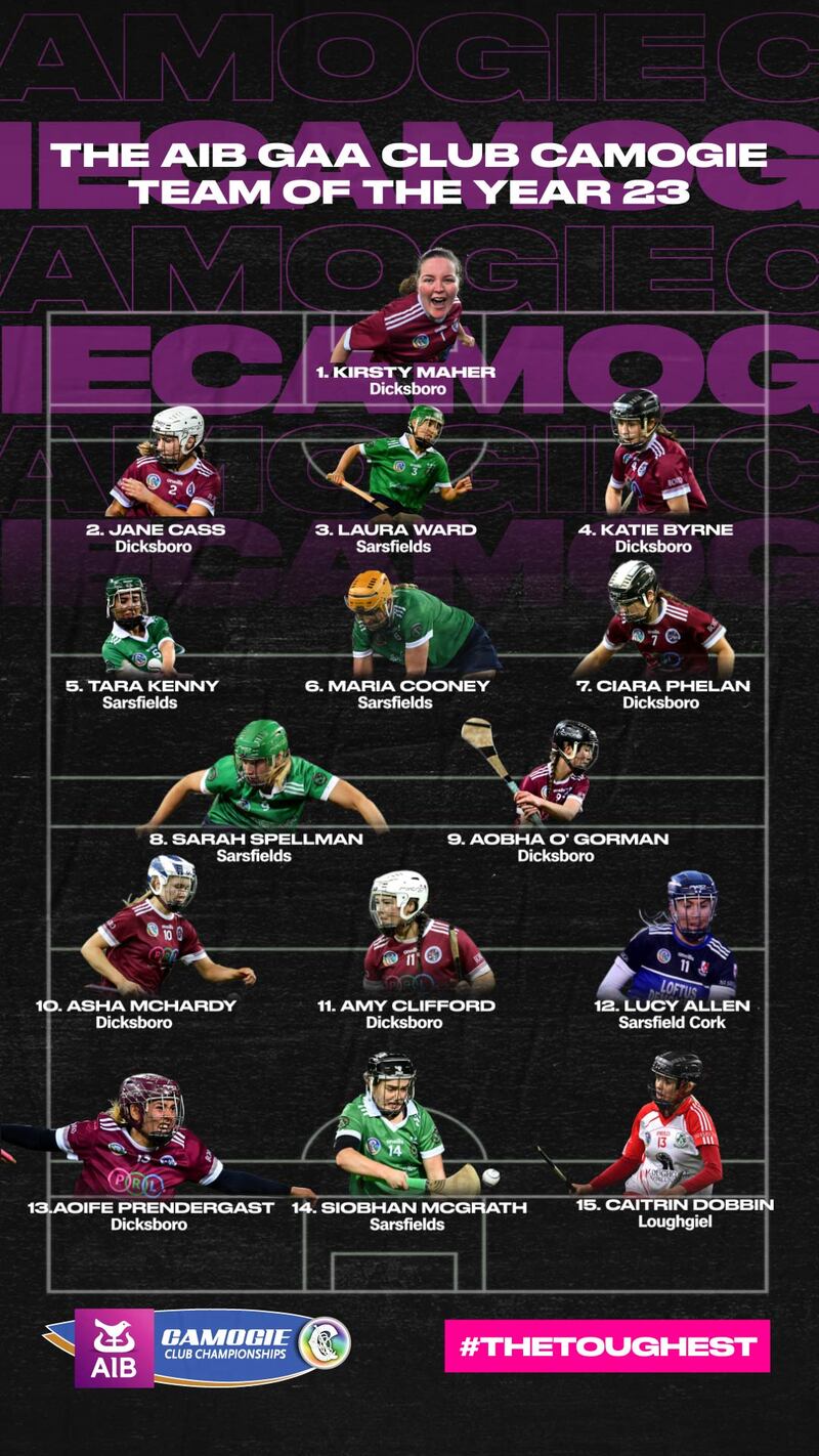 A graphic showing the 2023 AIB Camogie Club Championships team of the year.