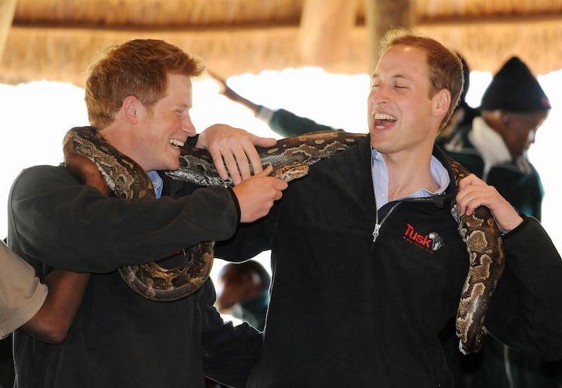 Harry, 25, and William, 27, pose with a rock python during a visit to the Mokolodi Nature Reserve in Gabarone, Botswana