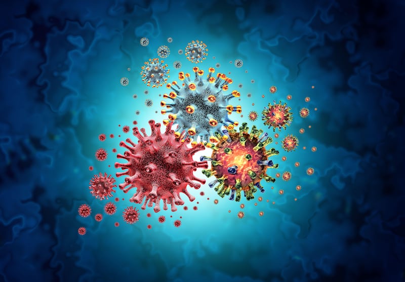 2M4KXMC Tripledemic Covid Flu And RSV or respiratory syncytial virus with three pathogen cells dangerous infectious disease cells as a 3D illustration.