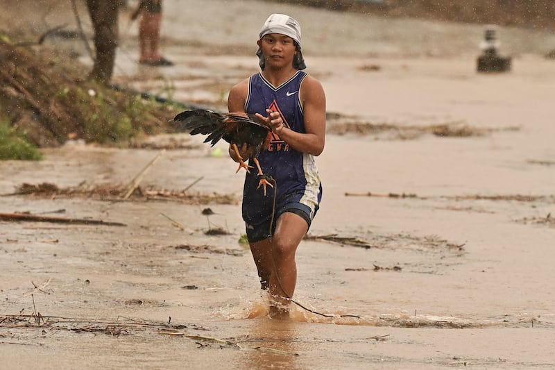 A resident carries a rooster along floods from a swollen river caused by heavy rains from Typhoon Toraji (AP Photo/Noel Celis)