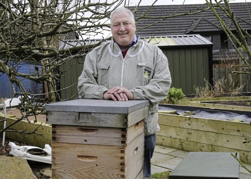 Ulster Beekeepers Association chairman John Hill at home in Crumlin with his bee hives. Picture by Hugh Russell 