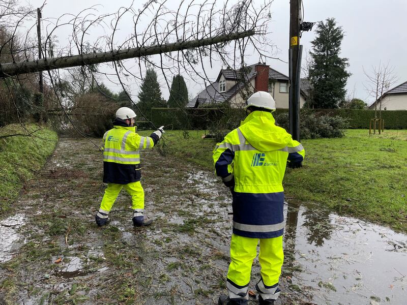 Electricity engineers inspect damage by fallen trees blocking Eglantine Road near Hillsborough