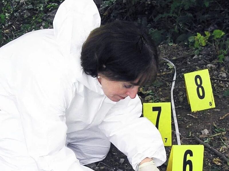 Forensic ecologist Patricia Wiltshire at work PICTURE COURTESY OF PATRICIA WILTSHIRE