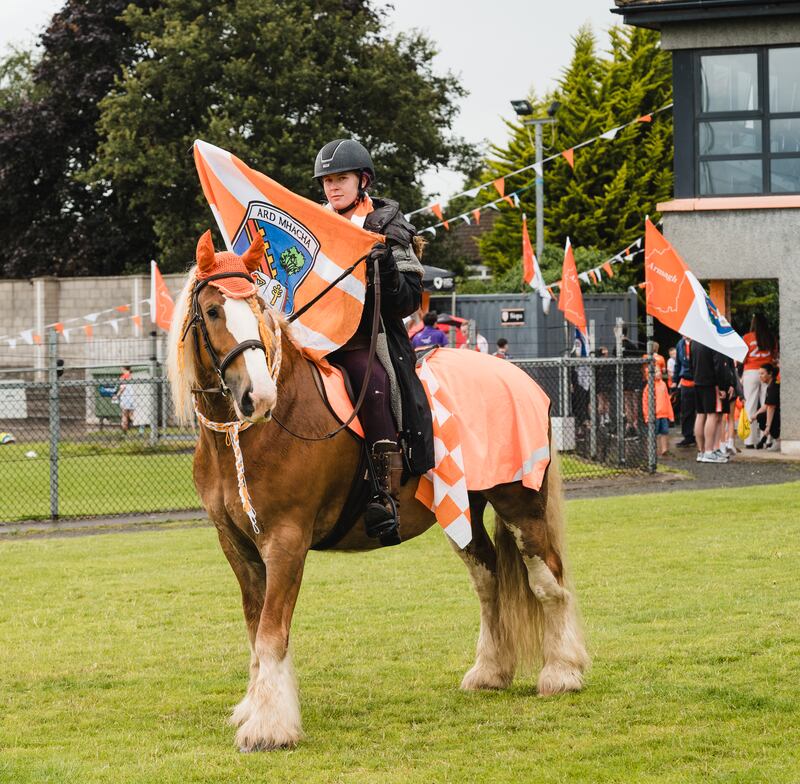 Boris, the Armagh horse, also made an appearance on the day PICTURE CIARAN MCMAHON