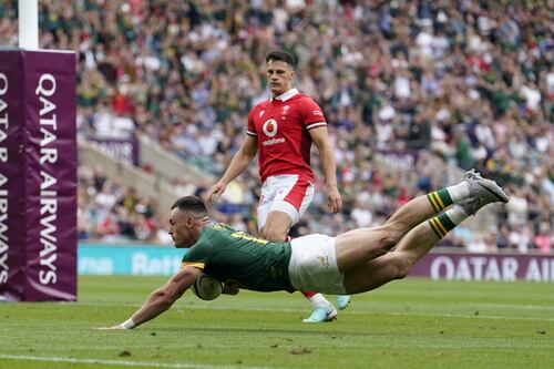 South Africa pull clear in second half to overcome resilient Wales