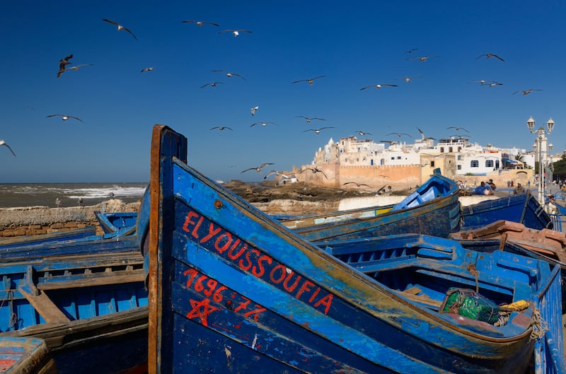 Seagulls flying around blue fishing boats in Essaouira, Morocco