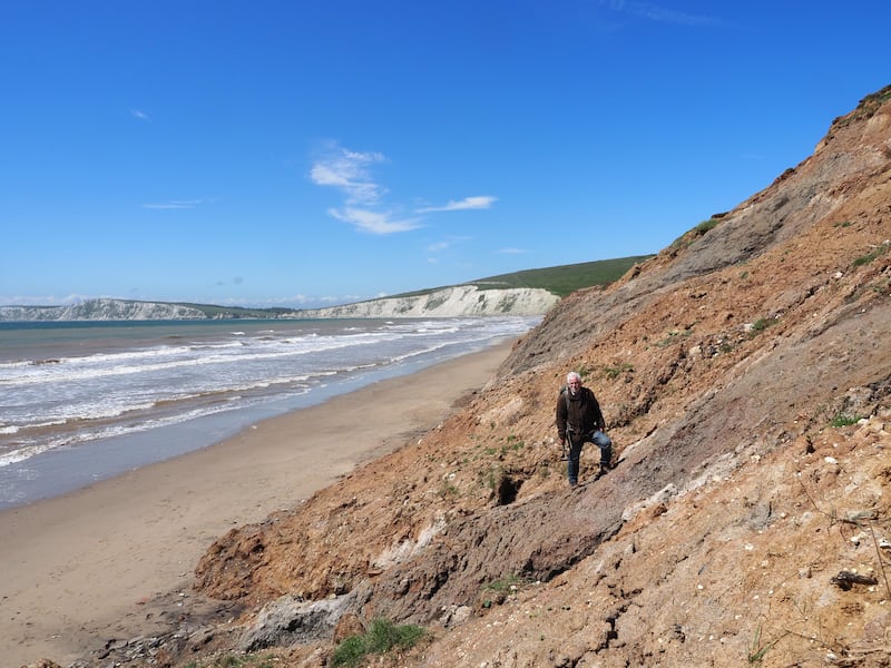 PhD student Jeremy Lockwood at the excavation site in the cliffs of Compton Bay (University of Portsmouth)