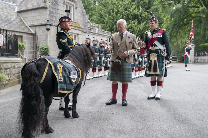 The pony formed part of the guard of honour