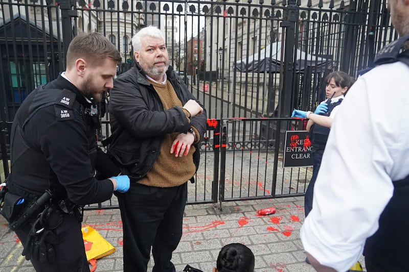 A man was detained outside Downing Street