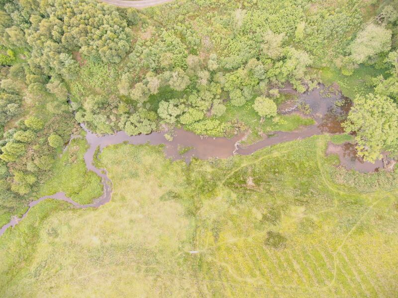 Drone footage of the enclosure after the beavers where released. (National Trust)