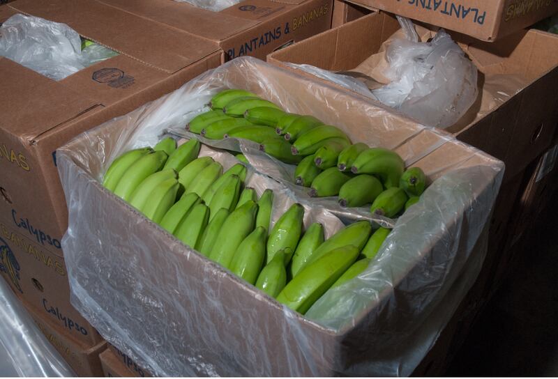 The drugs were found in bananas which arrived at the Port of Dover between May and September 2020