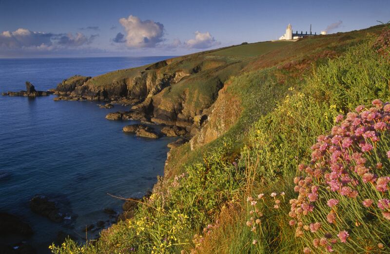 Rare coastal lichens, wildflowers and butterflies are being given a helping hand by the National Trust