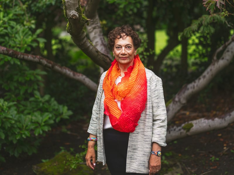 Professor Audrey Osler, Professor Emerita of Citizenship and Human Rights Education at the University of Leeds