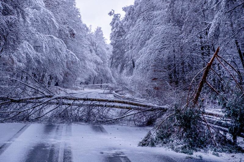 Germany Weather