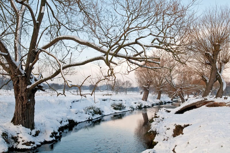 Wintry scene of lake in Richmond Park covered in snow